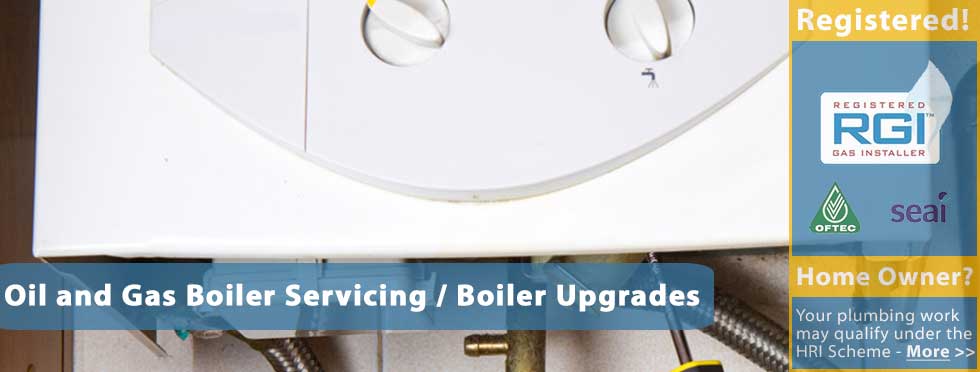 We service oil and gas boilers and offer boiler upgrades in Co. Laois including Portlaois, Mountmellick, Monasterevin, Mountrath, Athy, Tullamore, Roscrea, Abbeyleix, Newbridge and Carlow.